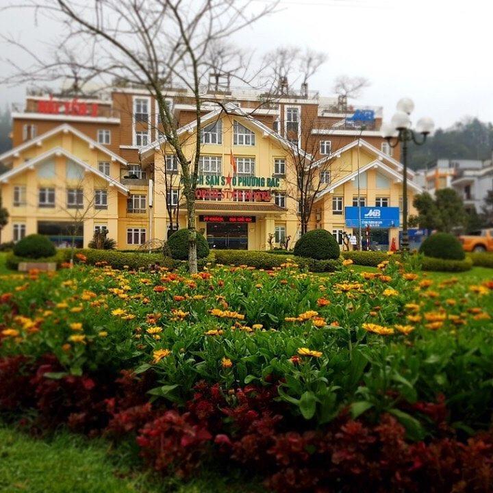 Northstar Hotel Sapa - Sao Hai Yen 2 Exteriér fotografie